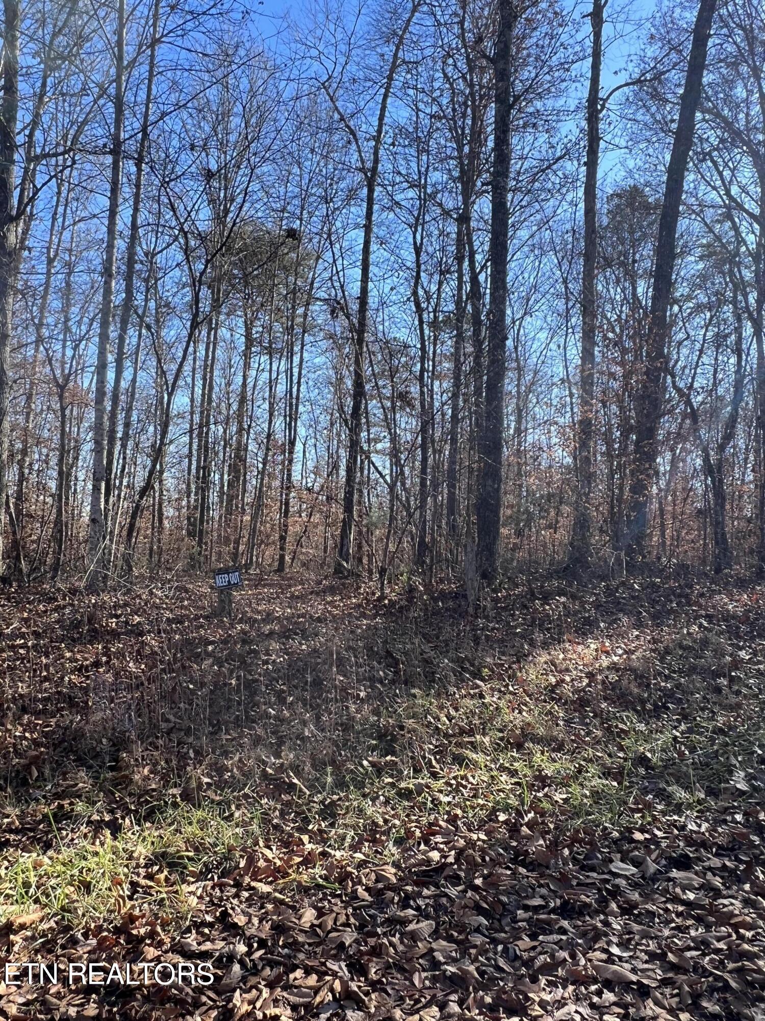 1-2 Jones Ridge Road Speedwell, TN 37870 - Photo 7 of 17 45830ECE-78C9-4C7A-97B0-BA4ED0C92258