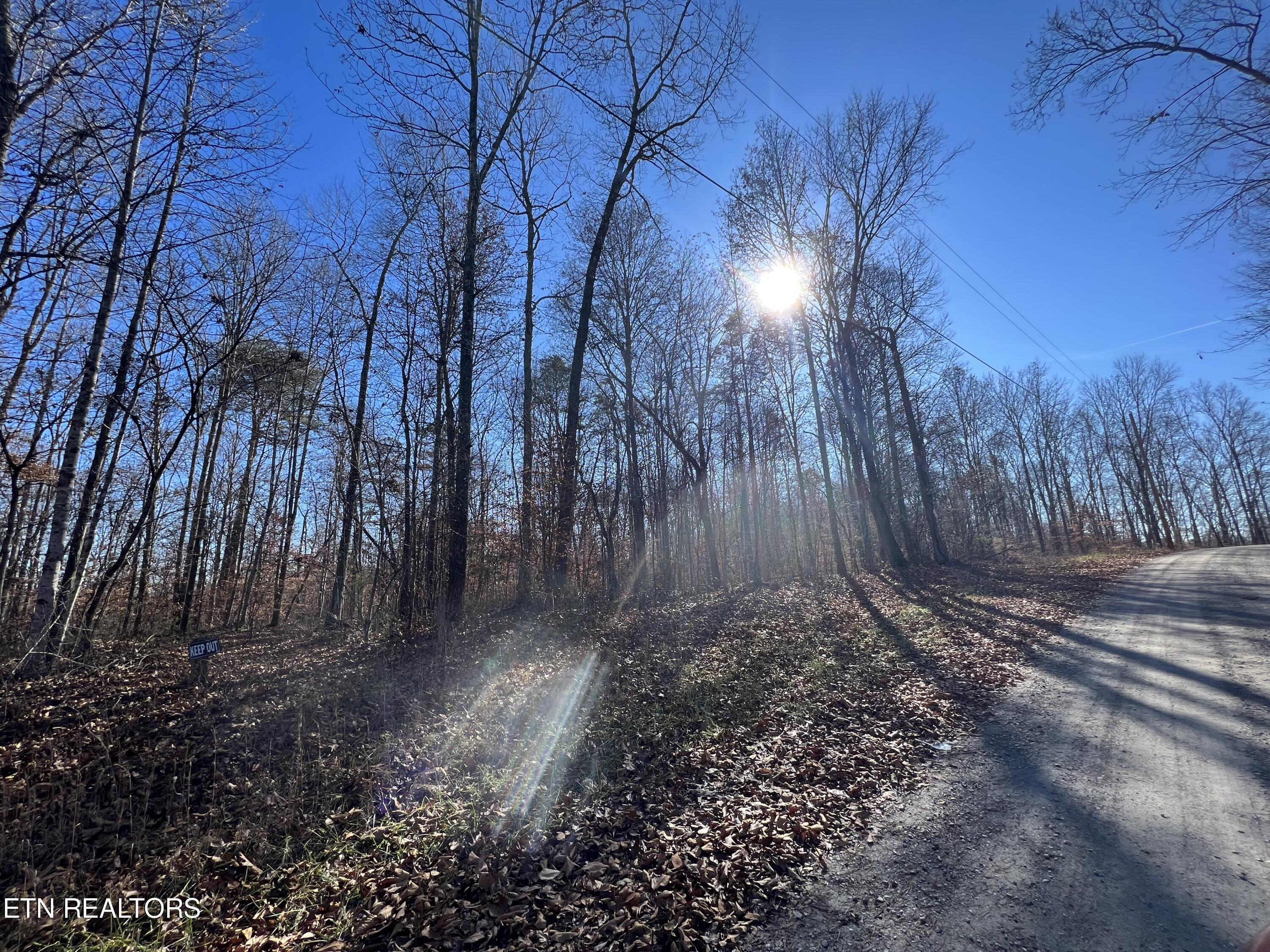1-2 Jones Ridge Road Speedwell, TN 37870 - Photo 8 of 17 E9260426-0853-44F4-9E0E-19D4697F90F2
