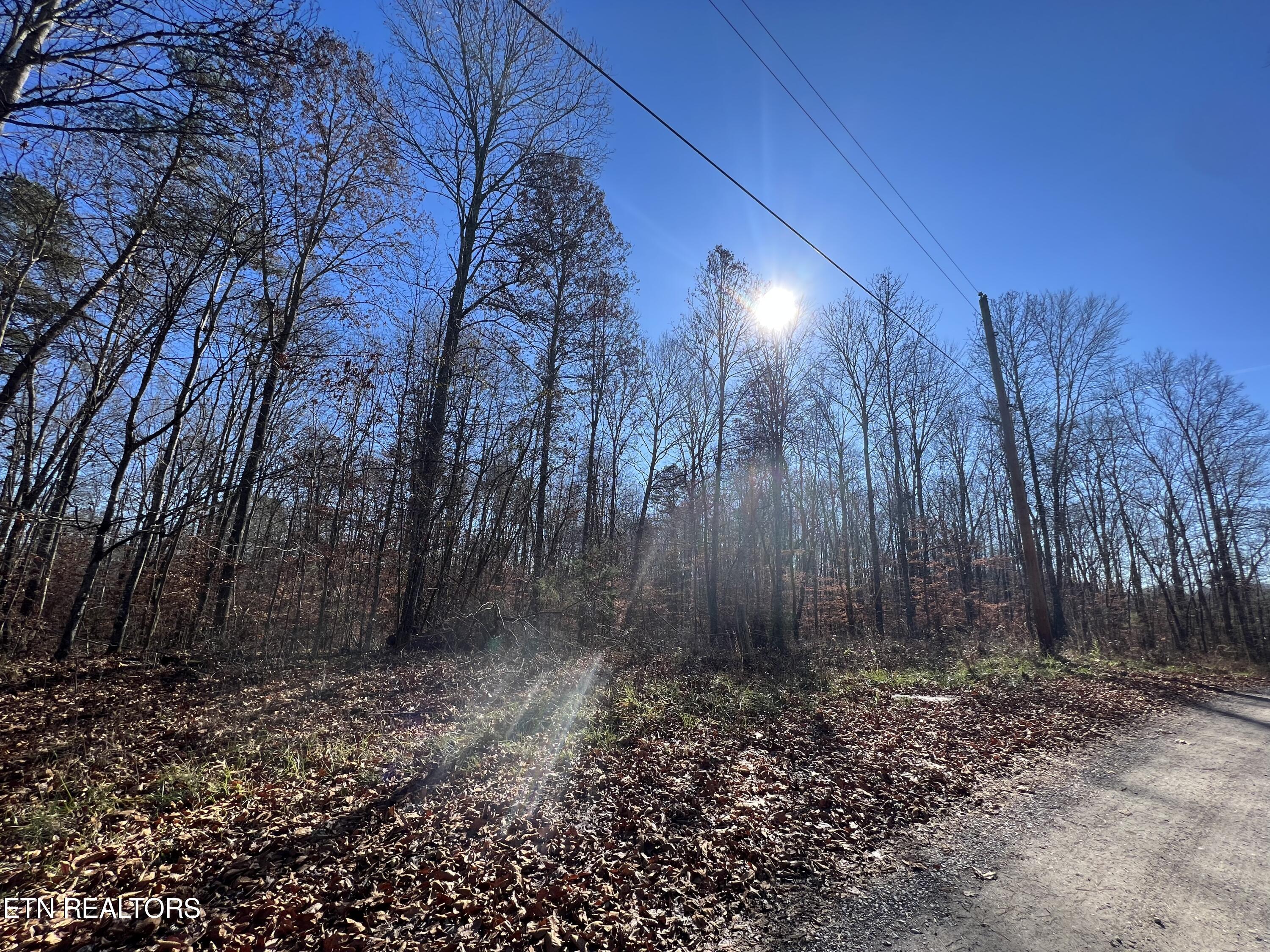 1-2 Jones Ridge Road Speedwell, TN 37870 - Photo 9 of 17 956D29FD-F519-4E01-96F8-6448581915BE