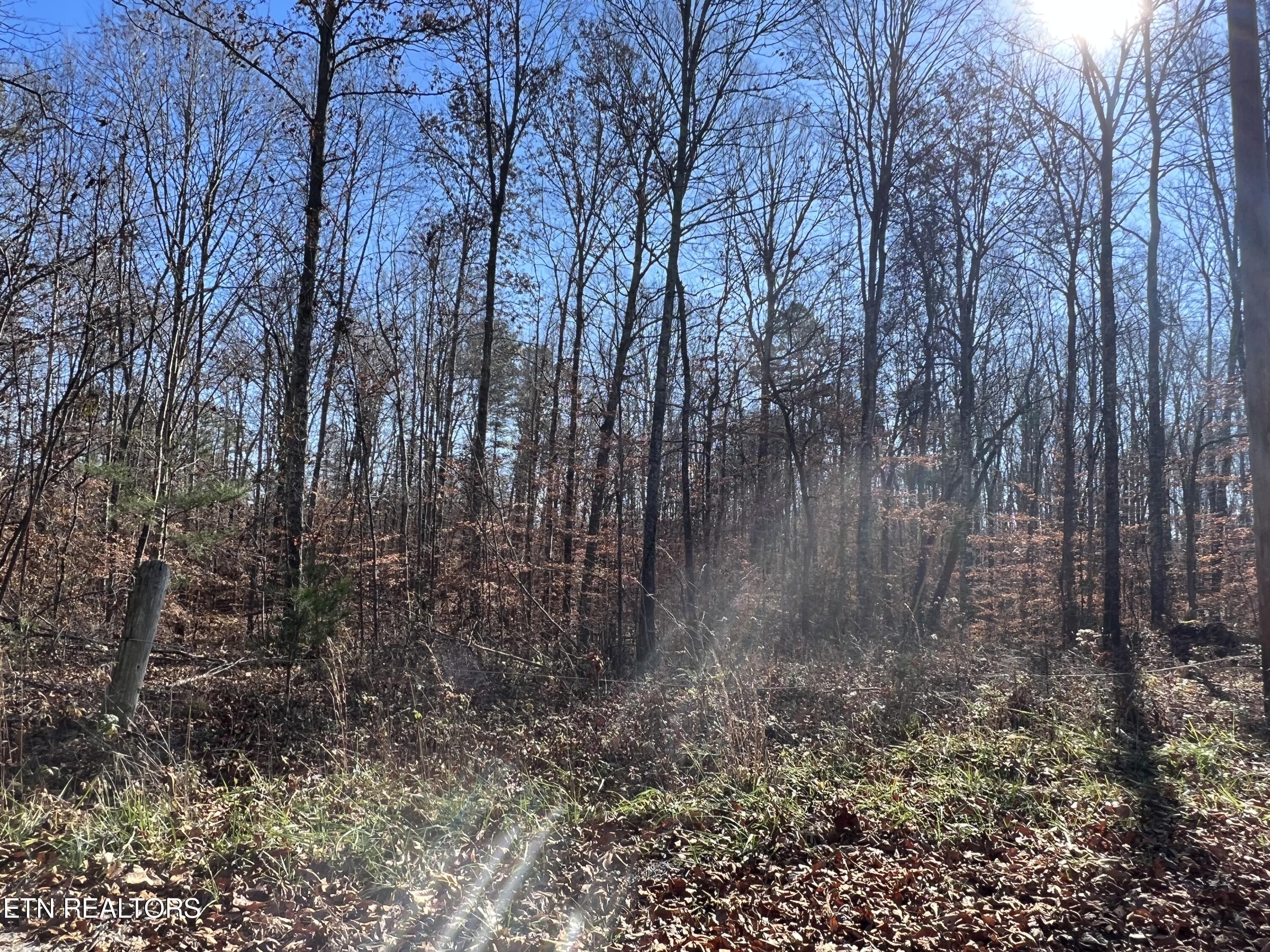 1-2 Jones Ridge Road Speedwell, TN 37870 - Photo 10 of 17 45997287-7575-4A10-98C2-4E681F8821C5