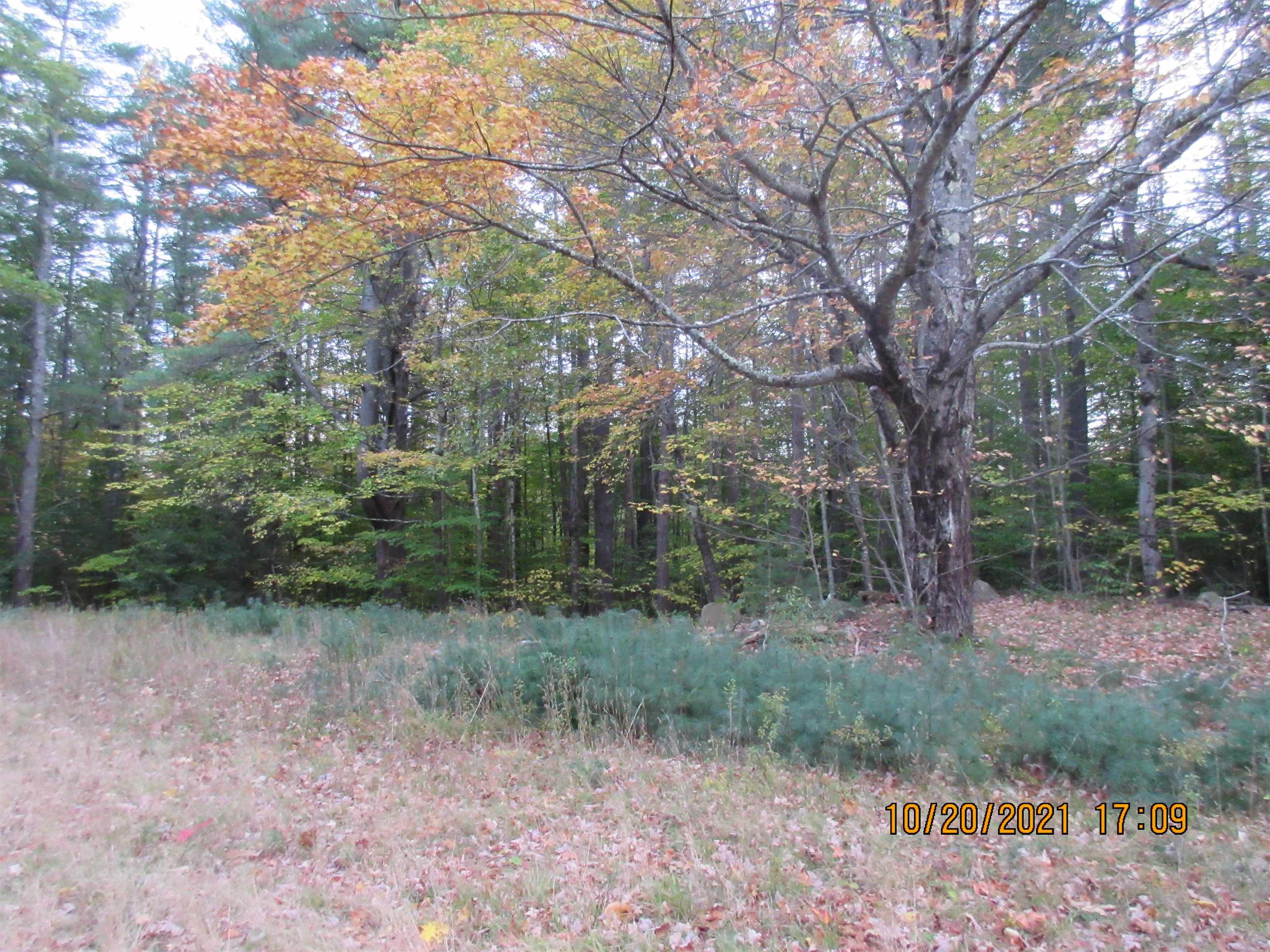 18 Ernst Road Milton, NH 03851 - Photo 3 of 5