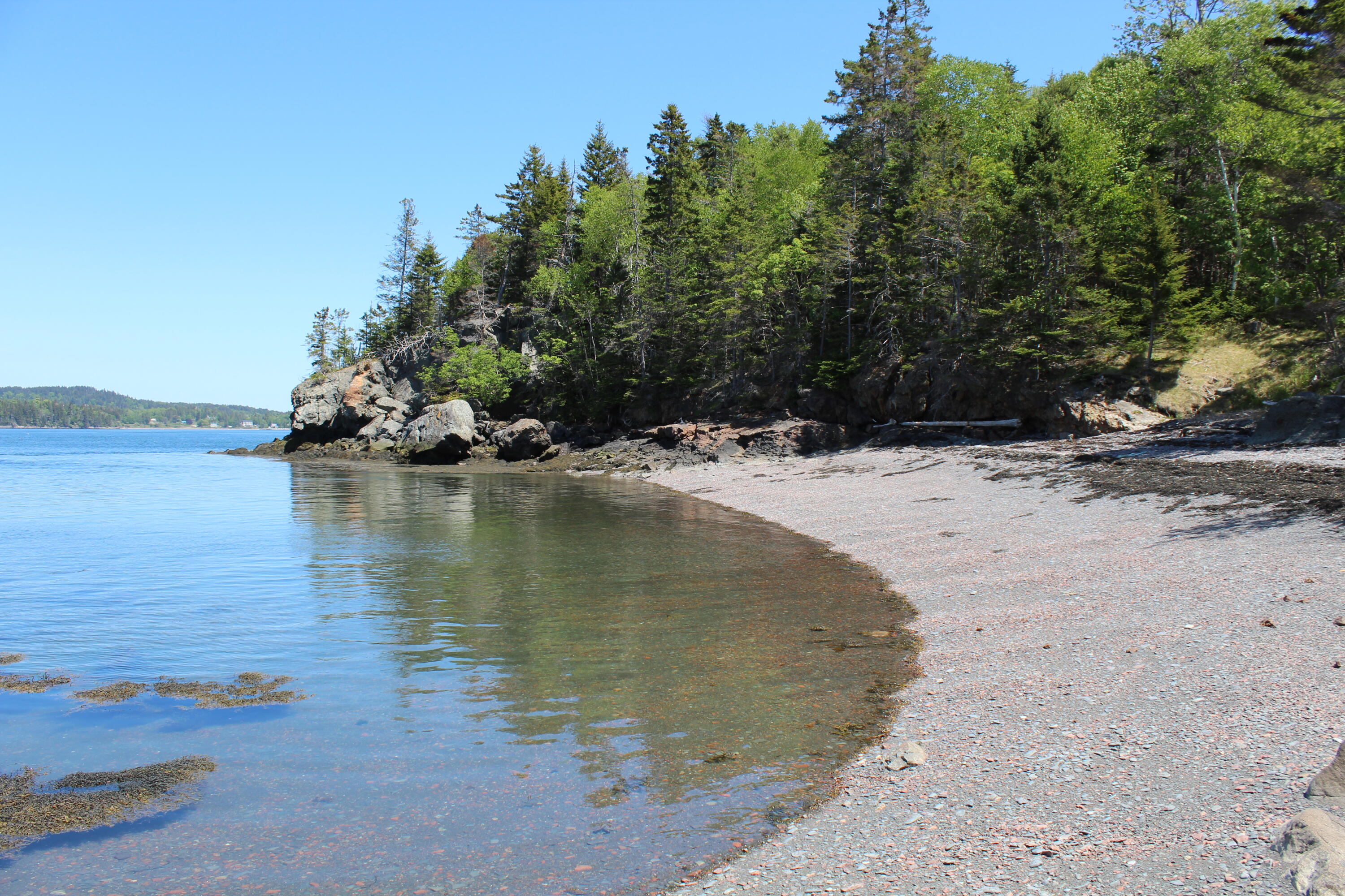 45 Kendall Head Road Eastport, ME 04631 - Photo 5 of 117 IMG_7048