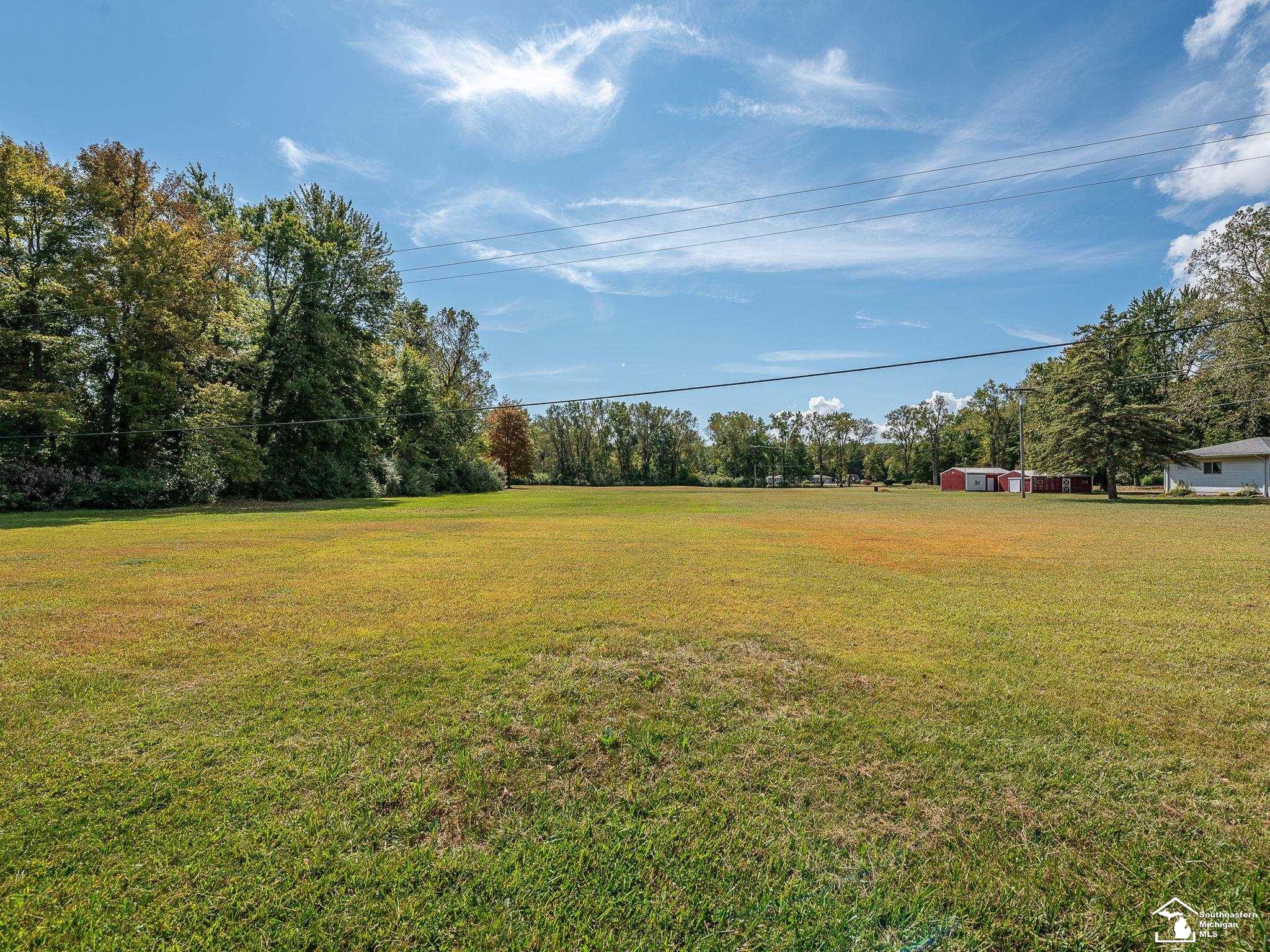 0 Blue Bush Road Monroe, MI 48162 - Photo 2 of 15