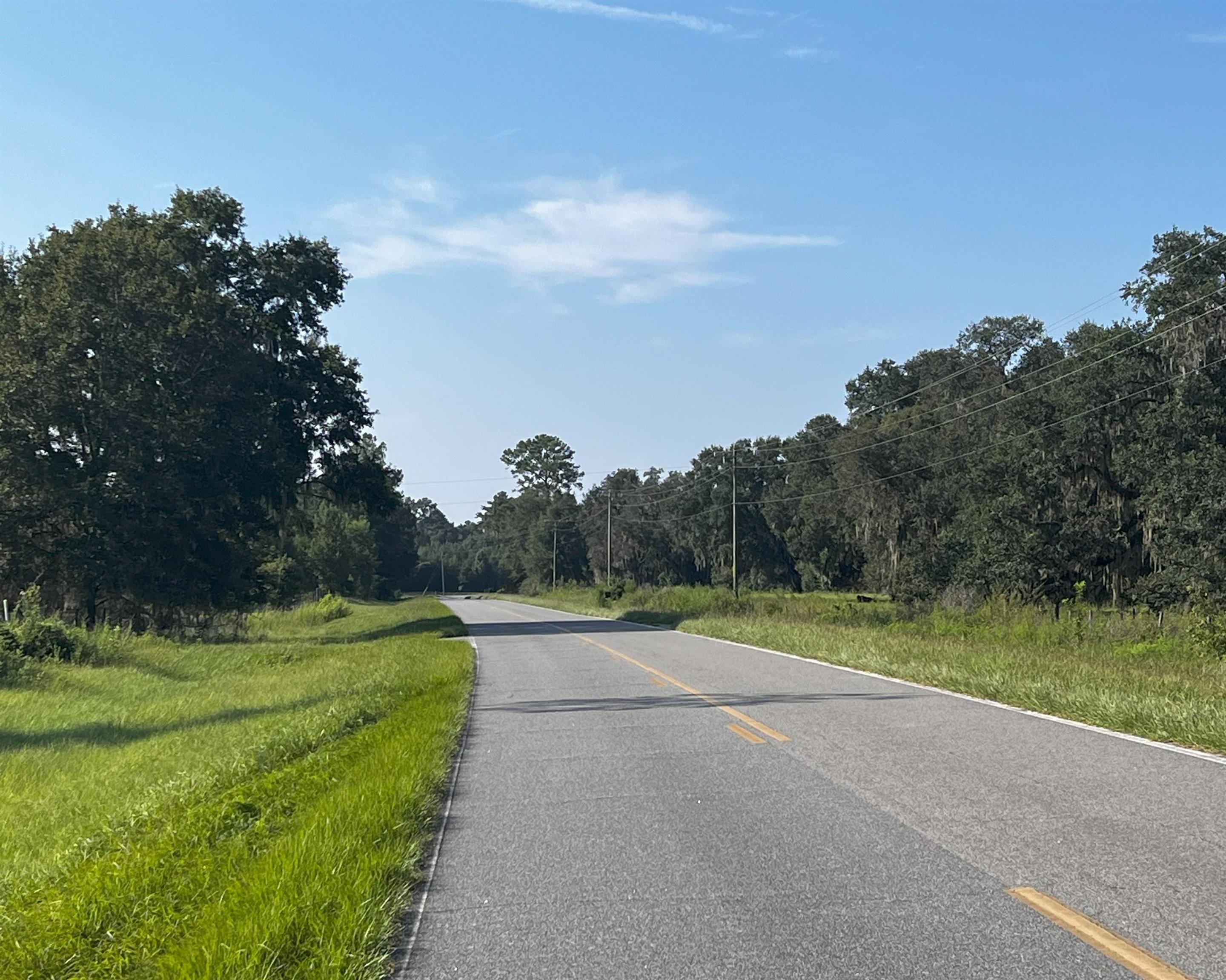 Tbd North Salt Road Monticello, FL 32344 - Photo 5 of 7 Gallery Image 5