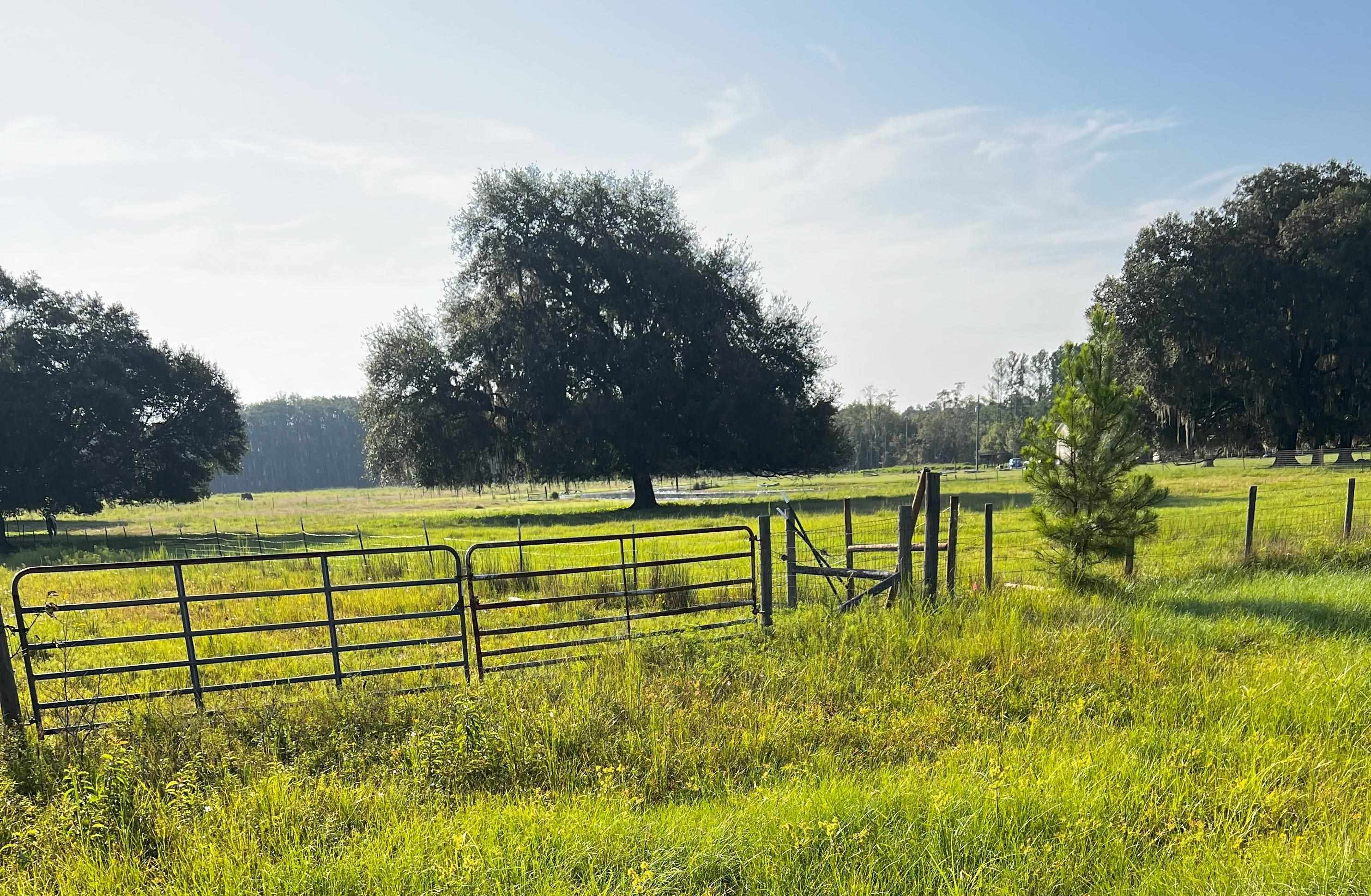 Tbd North Salt Road Monticello, FL 32344 - Photo 7 of 7 Gallery Image 7