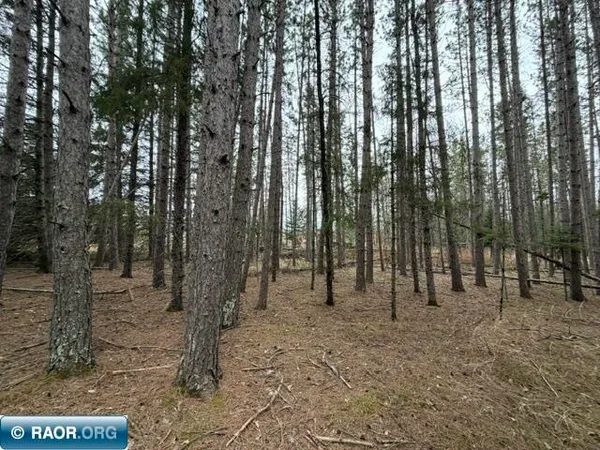 $48,000 | Tbd 5th Street Southeast, Cook, MN 55723