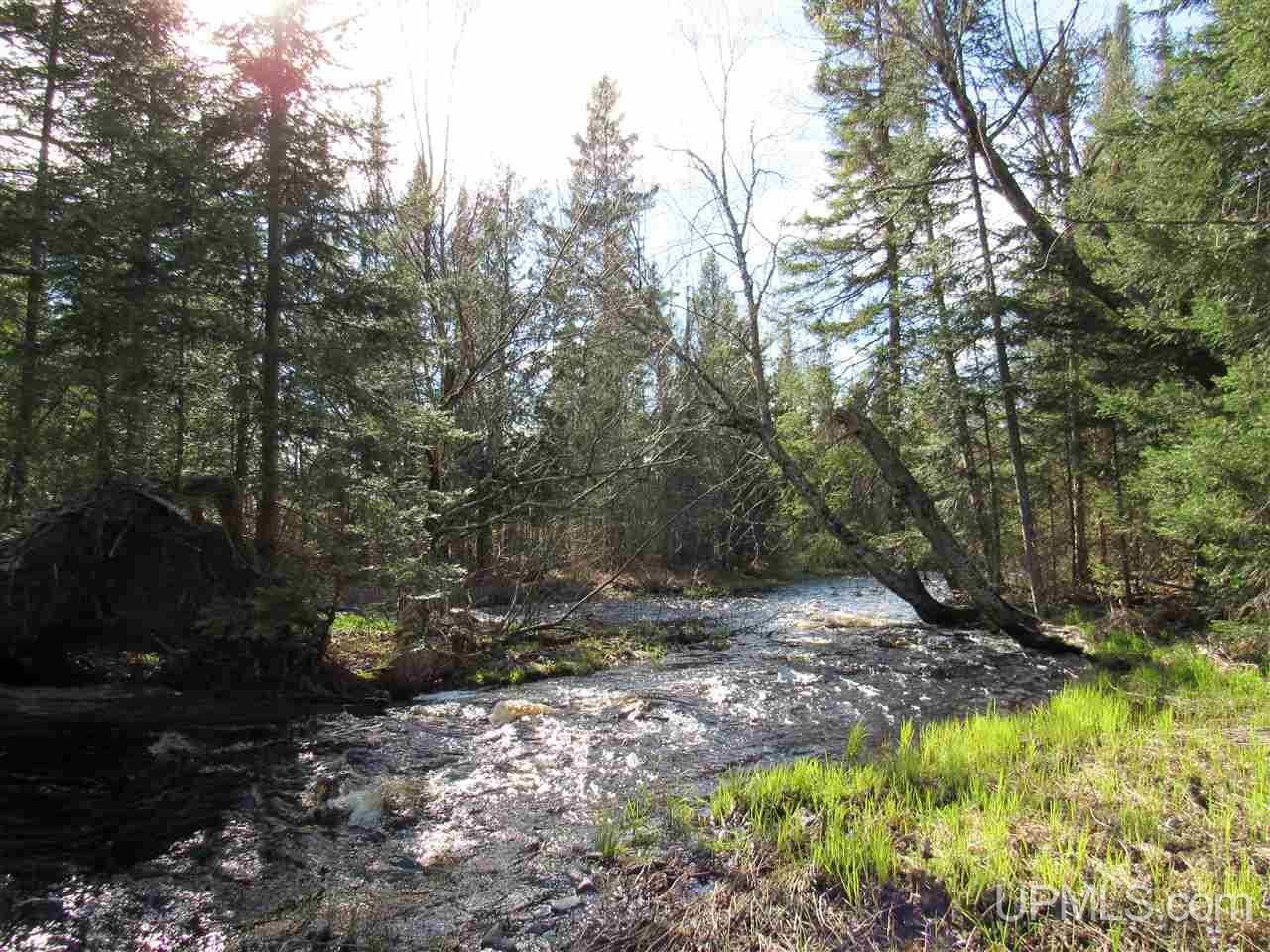 M28 (west) Lanse, MI 49946 - Photo 3 of 30