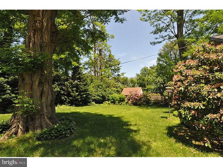 342 Holmecrest Road Jenkintown, PA 19046 - Photo 22 of 23 Back Yard