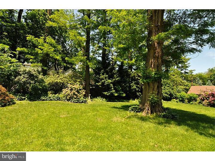 342 Holmecrest Road Jenkintown, PA 19046 - Photo 23 of 23 Back Yard