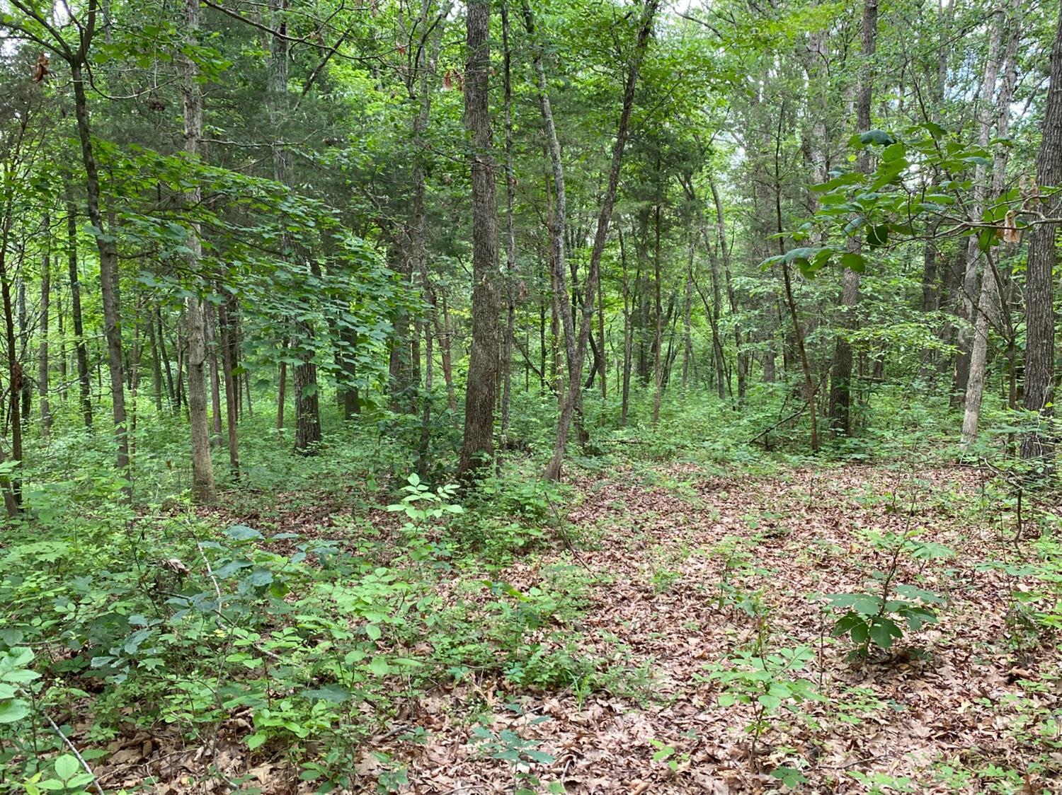 705 Rankin Road Seaman, OH 45679 - Photo 27 of 34