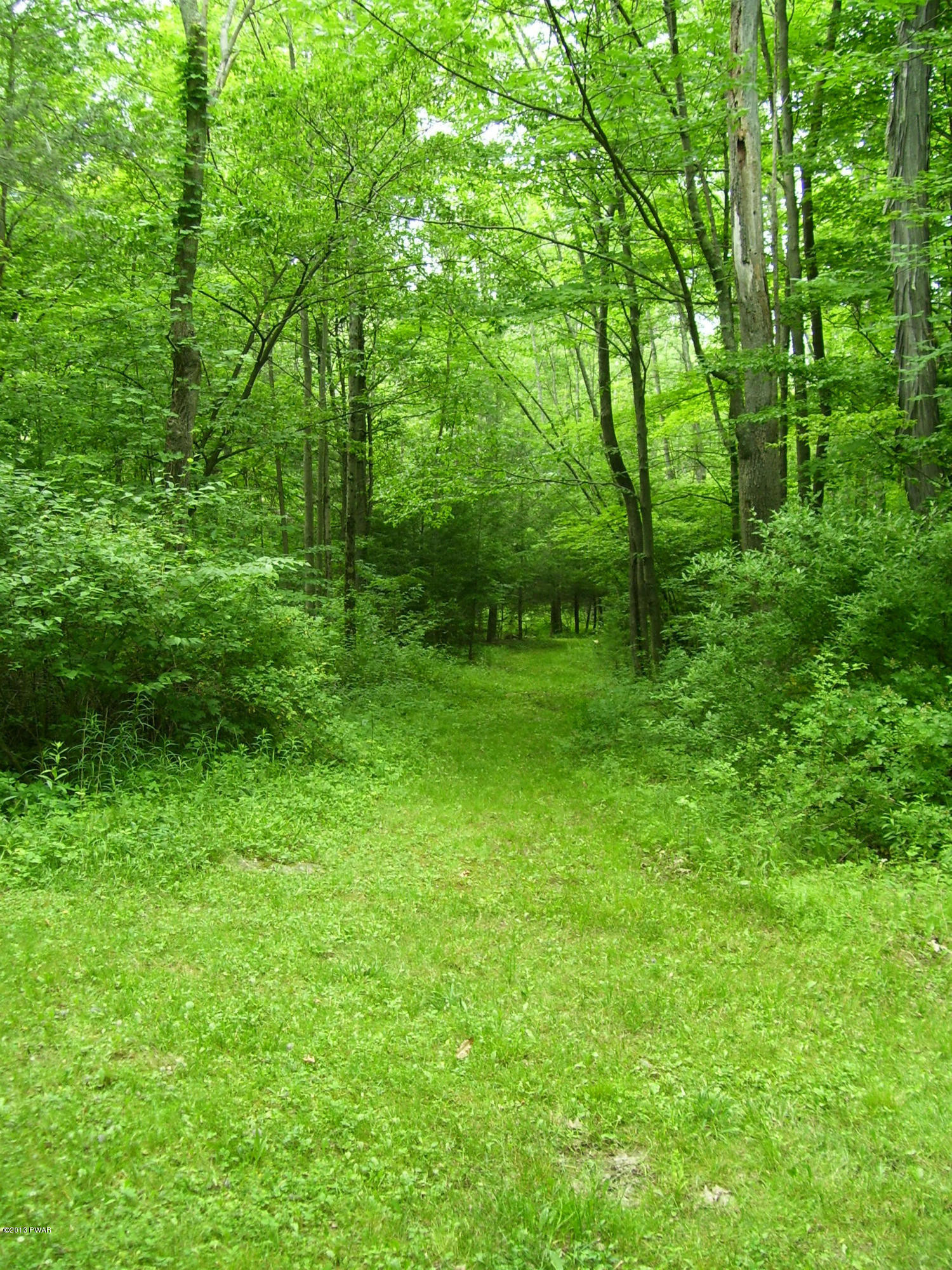 24 Pine Beach Road Lakeville, PA 18438 - Photo 69 of 74
