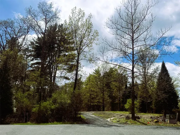 a view of a yard with large trees