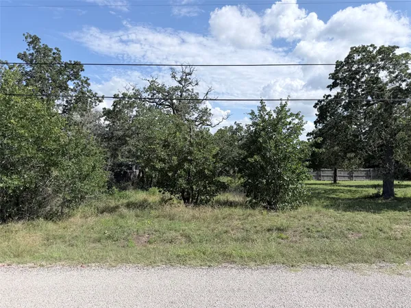 $19,000 | Tbd Buffalo Run, Smithville, TX 78957