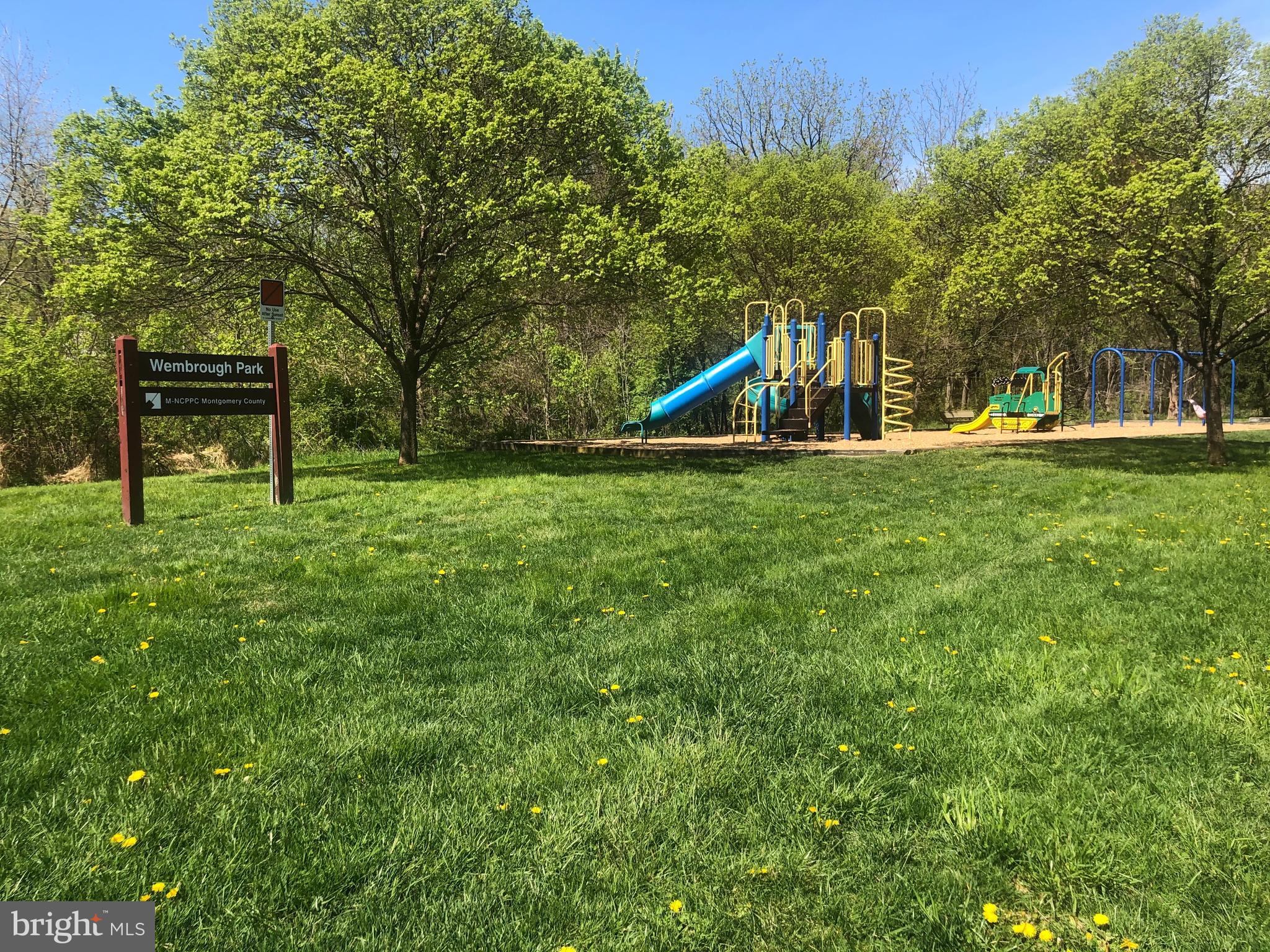 1413 Rainbow Drive Silver Spring, MD 20905 - Photo 48 of 50 a view of a park with large trees