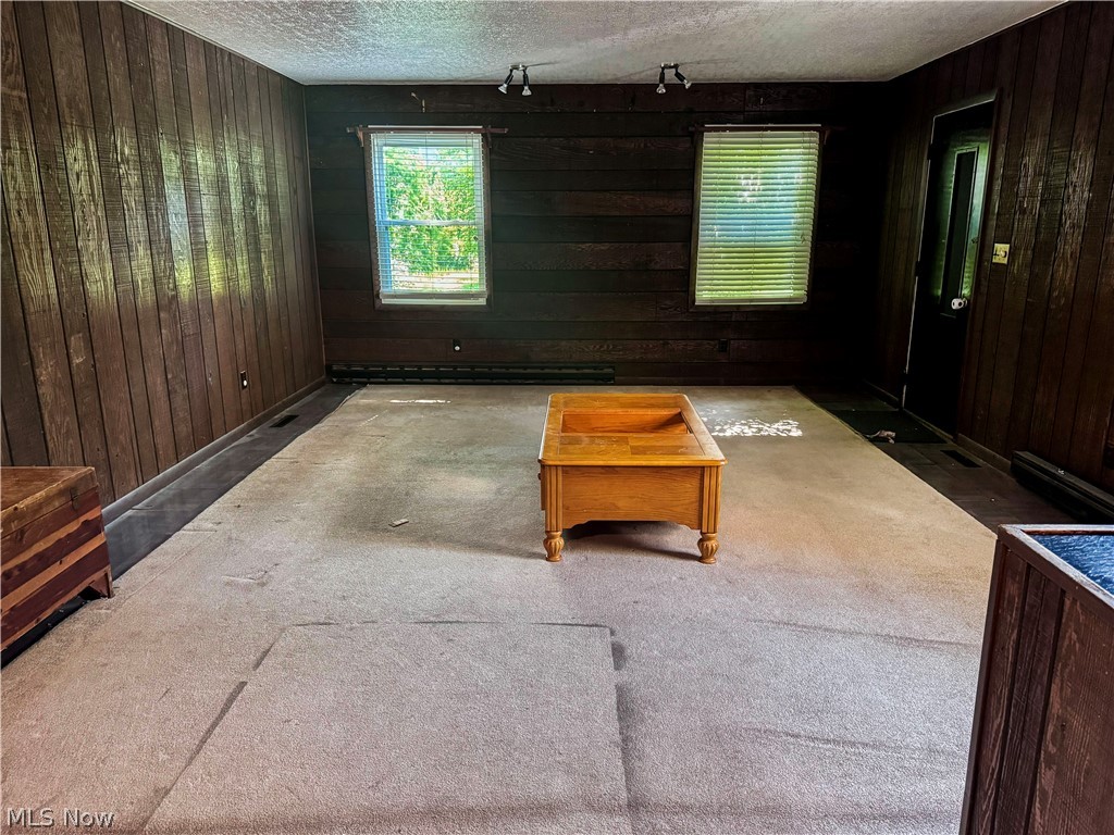 7121 North Lima Road Youngstown, OH 44514 - Photo 21 of 37 Room featuring wood paneling, two windows with blinds, track lighting, and a dark-paneled entry door