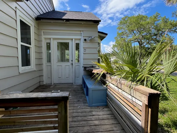 a potted plant sitting in front of a house