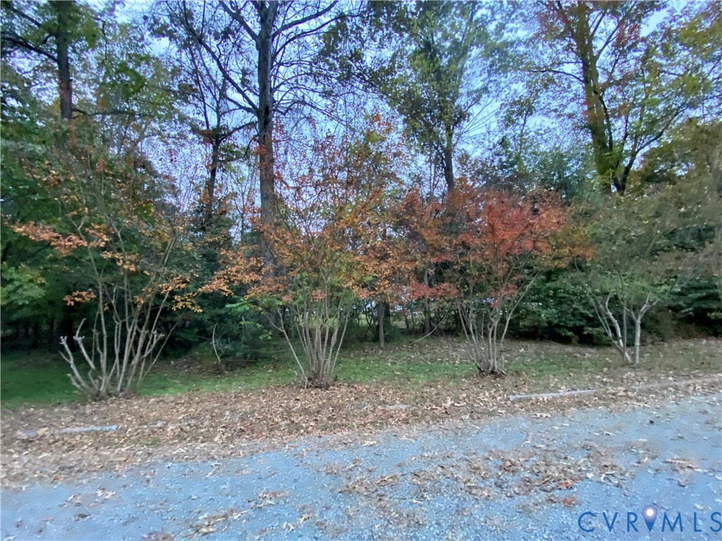 3766 Venter Road Richmond, VA 23227 - Photo 36 of 50 a view of outdoor space and trees