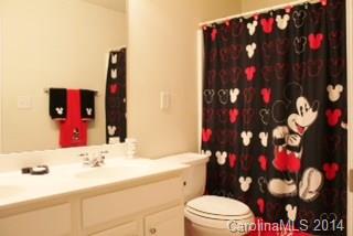 5313 Conant Circle Fort Mill, SC 29708 - Photo 16 of 19
