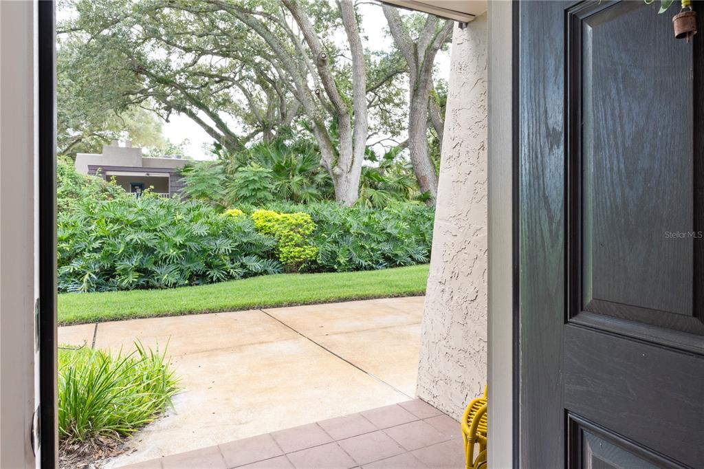 3714 Carrollbrook Road Tampa, FL 33618 - Photo 11 of 56 Gallery Image 11