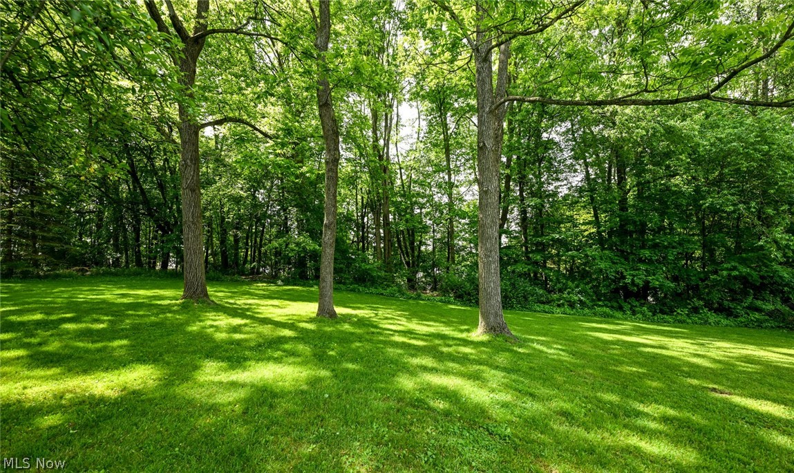 3170 Menough Road Ravenna, OH 44266 - Photo 18 of 50