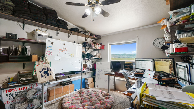 490 South Main Street Kamas, UT 84036 - Photo 11 of 25 Room featuring a window with distant mountain scenery, overhead ceiling fan, and multiple wall-mounted shelving units