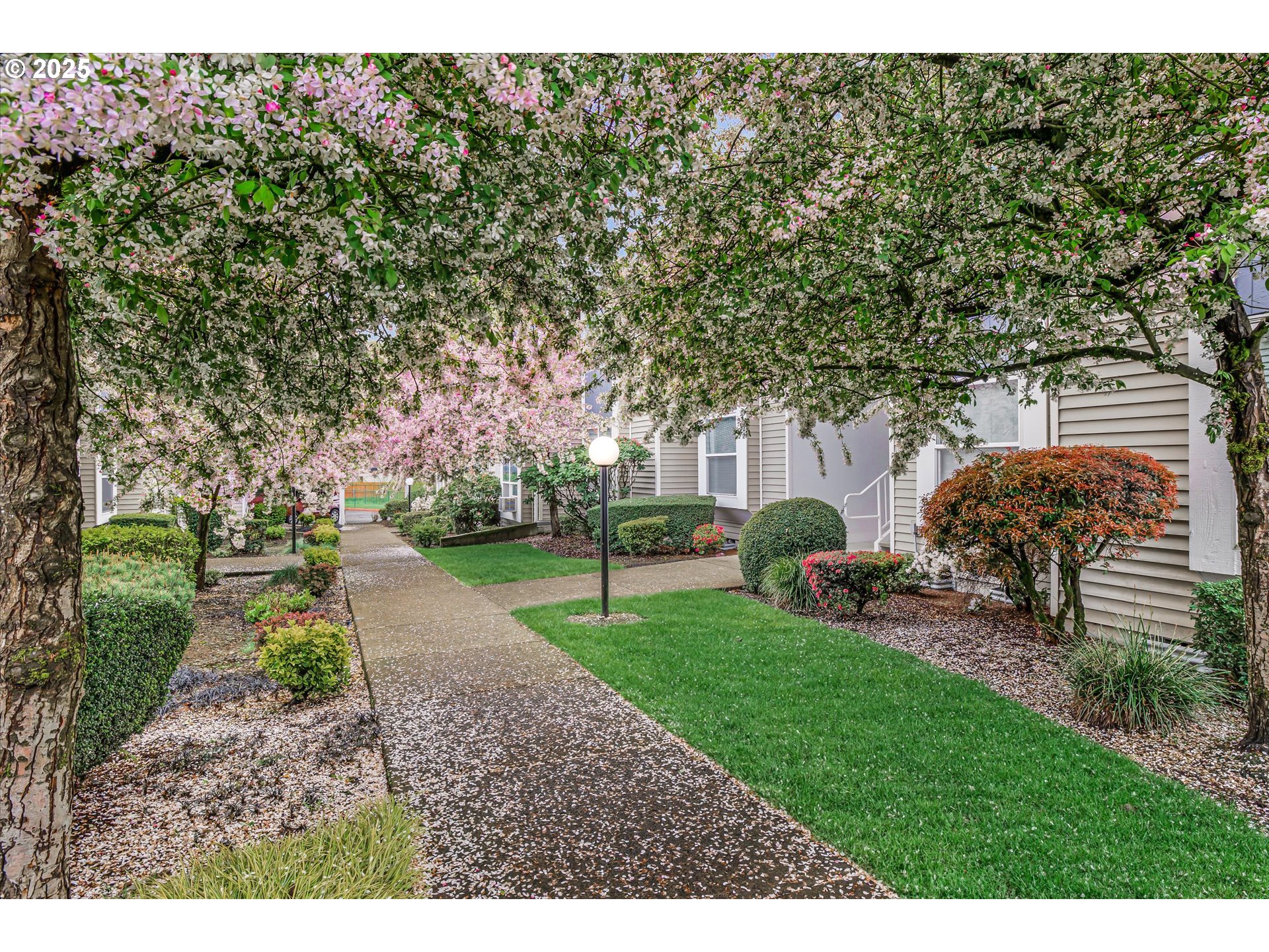 4686 West Powell Boulevard, Unit 241 Gresham, OR 97030 - Photo 34 of 44 a view of a backyard with large trees