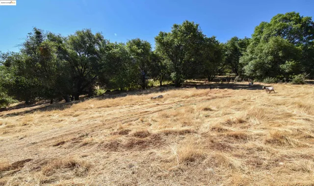 a view of a yard covered with snow in front of house