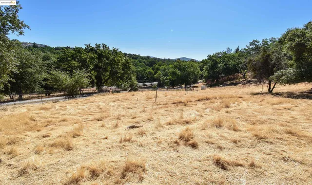 a view of a backyard with a wooden fence