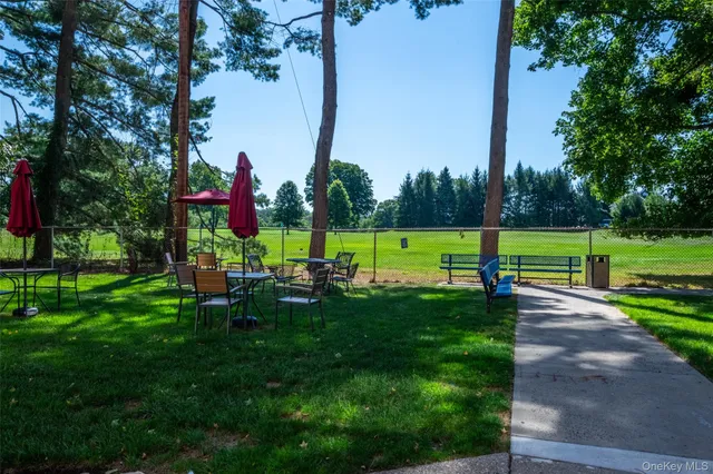 a view of park with plants and trees