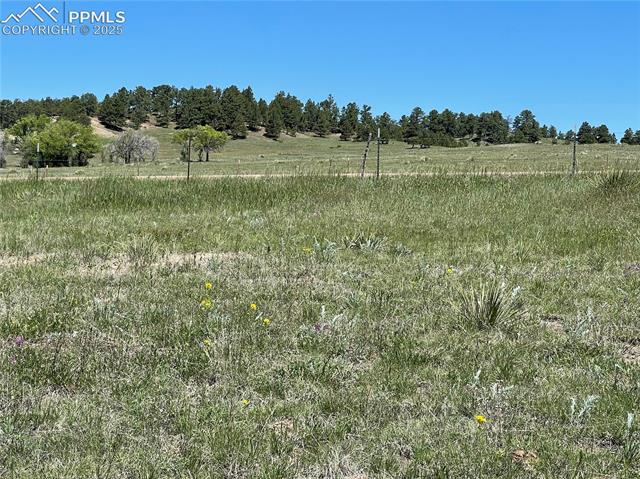 0 Sweet Road Peyton, CO 80831 - Photo 16 of 18 Gallery Image 16