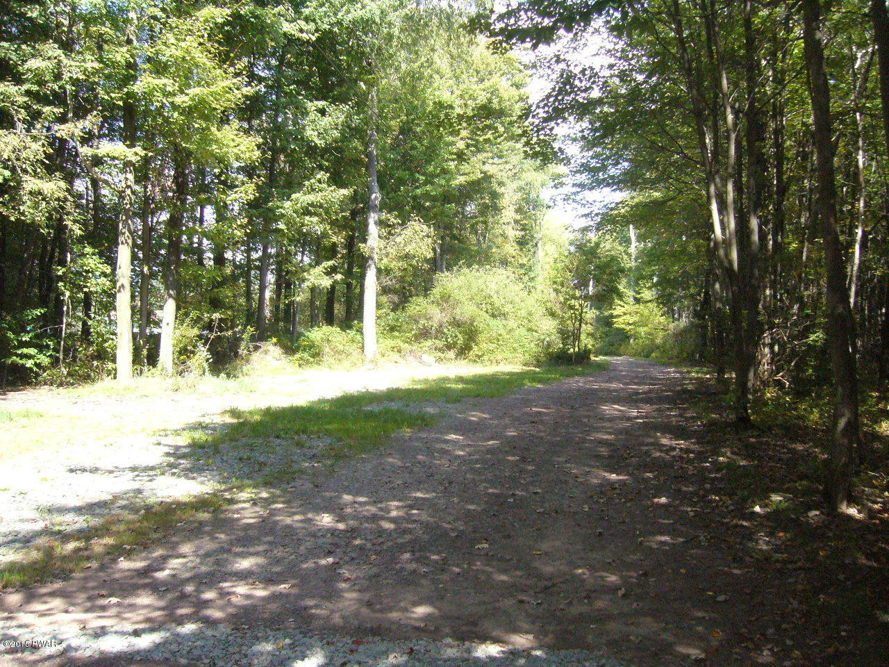 3438 Wrighter Lake Road Starrucca, PA 18462 - Photo 7 of 41