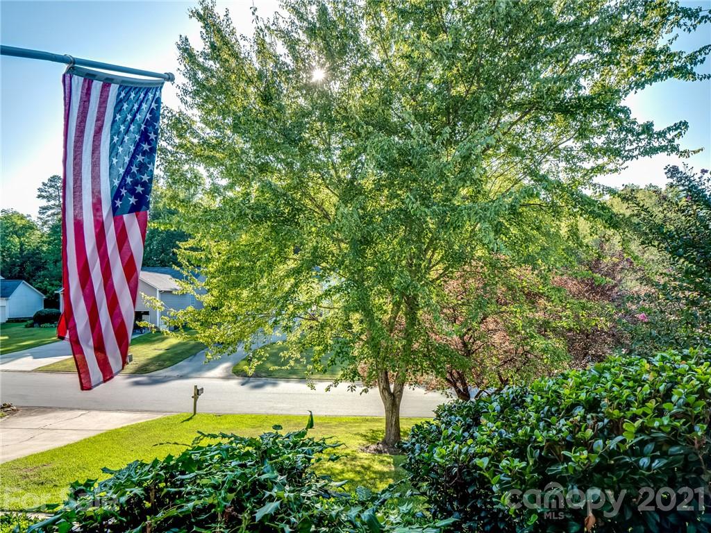 1396 Mistletoe Ridge Place Northwest Concord, NC 28027 - Photo 4 of 26 Gallery Image 4