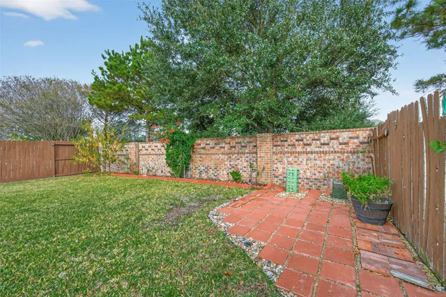 a view of a yard with plants and large trees