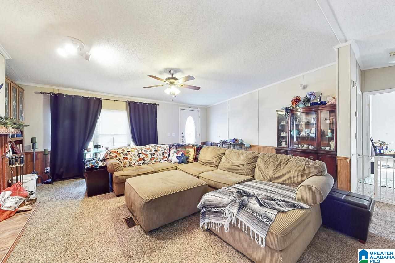 5258 Red Valley Road Remlap, AL 35133 - Photo 2 of 27
