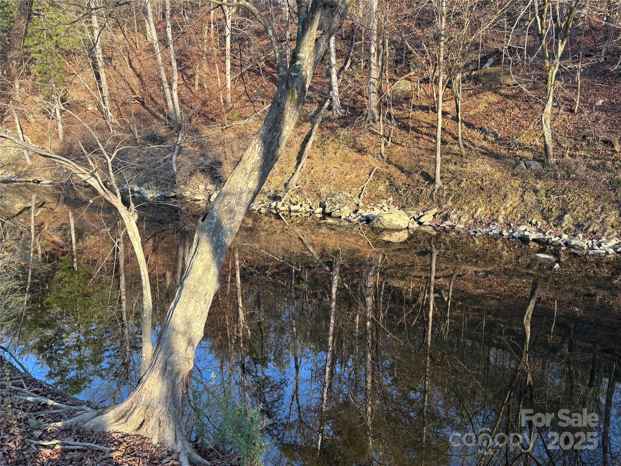 0 Hasty Road Marshville, NC 28103 - Photo 15 of 32