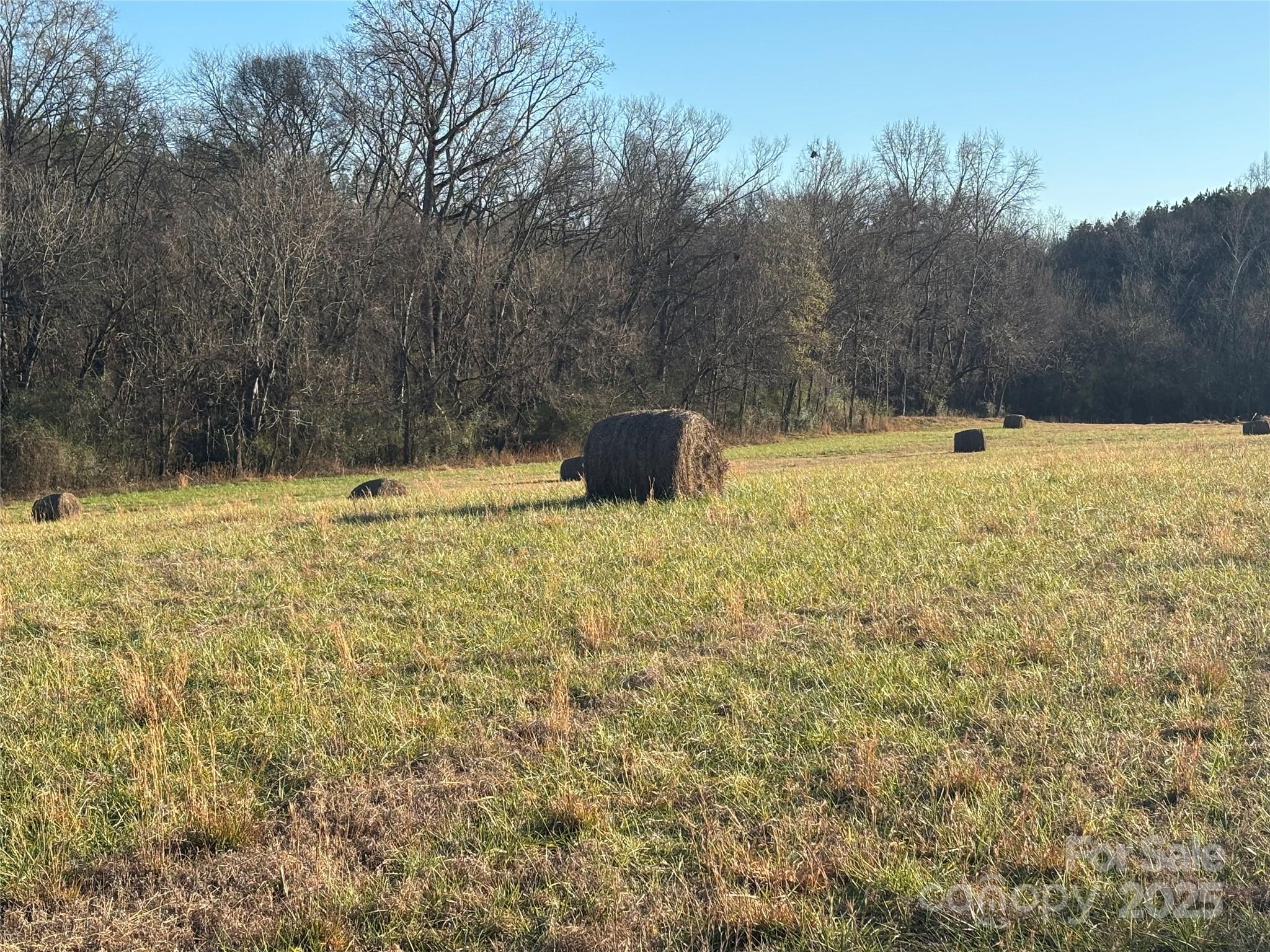0 Hasty Road Marshville, NC 28103 - Photo 2 of 32