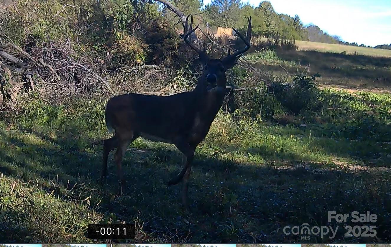 0 Hasty Road Marshville, NC 28103 - Photo 22 of 32