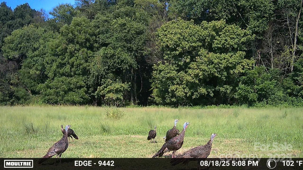 0 Hasty Road Marshville, NC 28103 - Photo 23 of 32