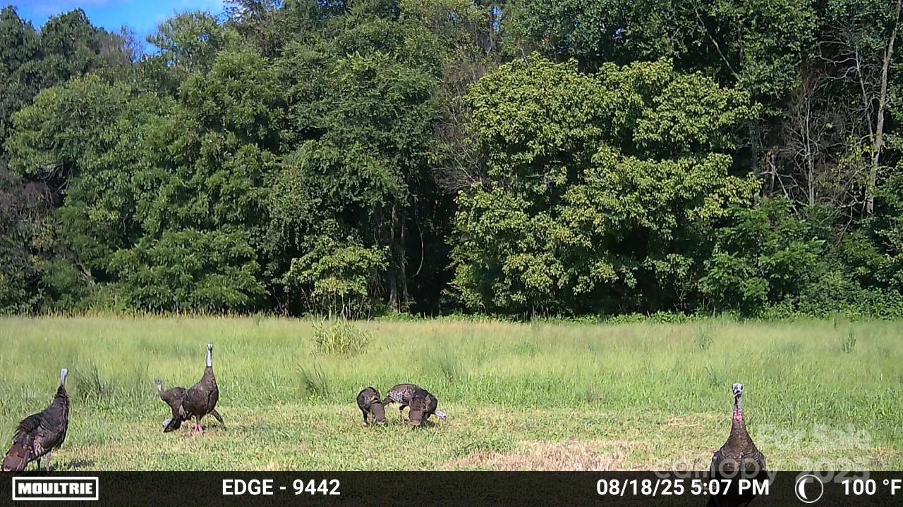 0 Hasty Road Marshville, NC 28103 - Photo 24 of 32