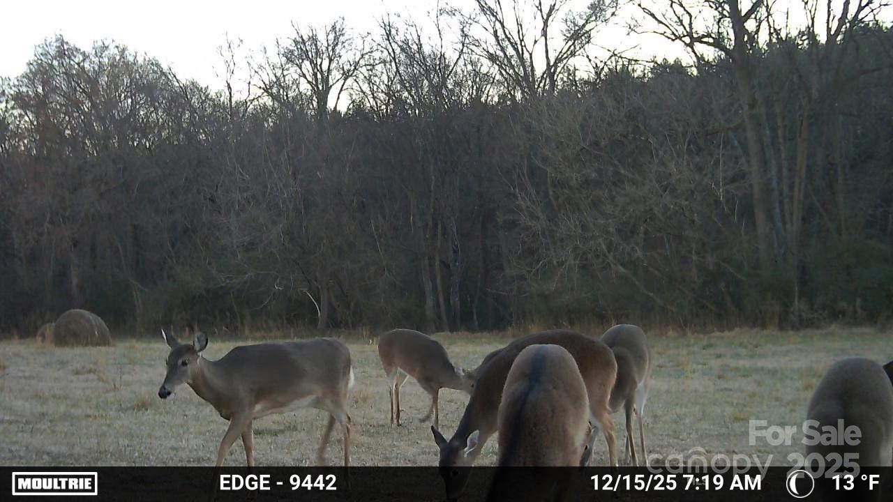 0 Hasty Road Marshville, NC 28103 - Photo 25 of 32