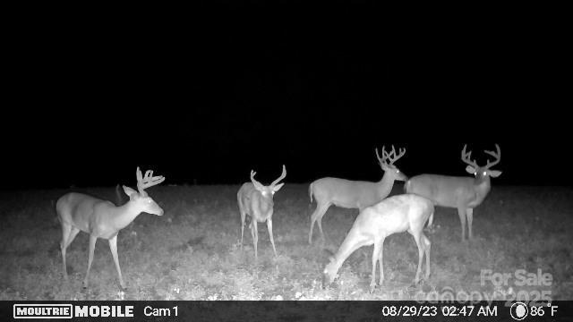 0 Hasty Road Marshville, NC 28103 - Photo 26 of 32