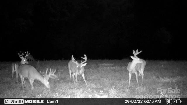 0 Hasty Road Marshville, NC 28103 - Photo 27 of 32