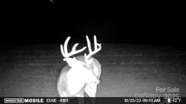 0 Hasty Road Marshville, NC 28103 - Photo 28 of 32