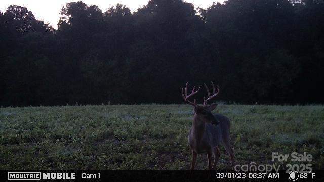 0 Hasty Road Marshville, NC 28103 - Photo 29 of 32