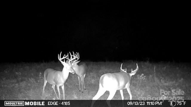 0 Hasty Road Marshville, NC 28103 - Photo 30 of 32