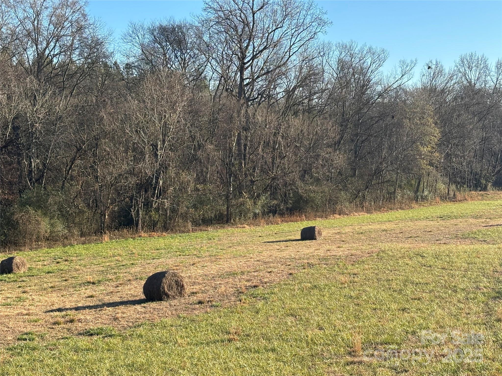 0 Hasty Road Marshville, NC 28103 - Photo 3 of 32