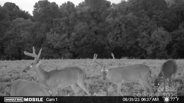 0 Hasty Road Marshville, NC 28103 - Photo 31 of 32