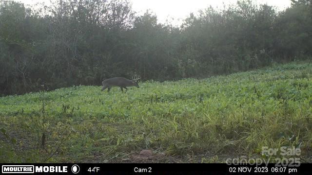 0 Hasty Road Marshville, NC 28103 - Photo 32 of 32