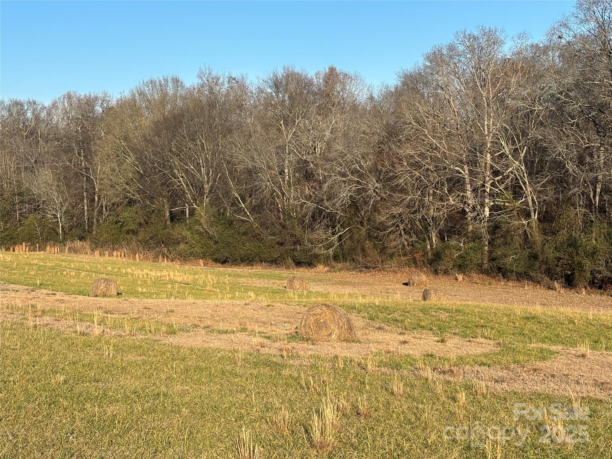 0 Hasty Road Marshville, NC 28103 - Photo 4 of 32