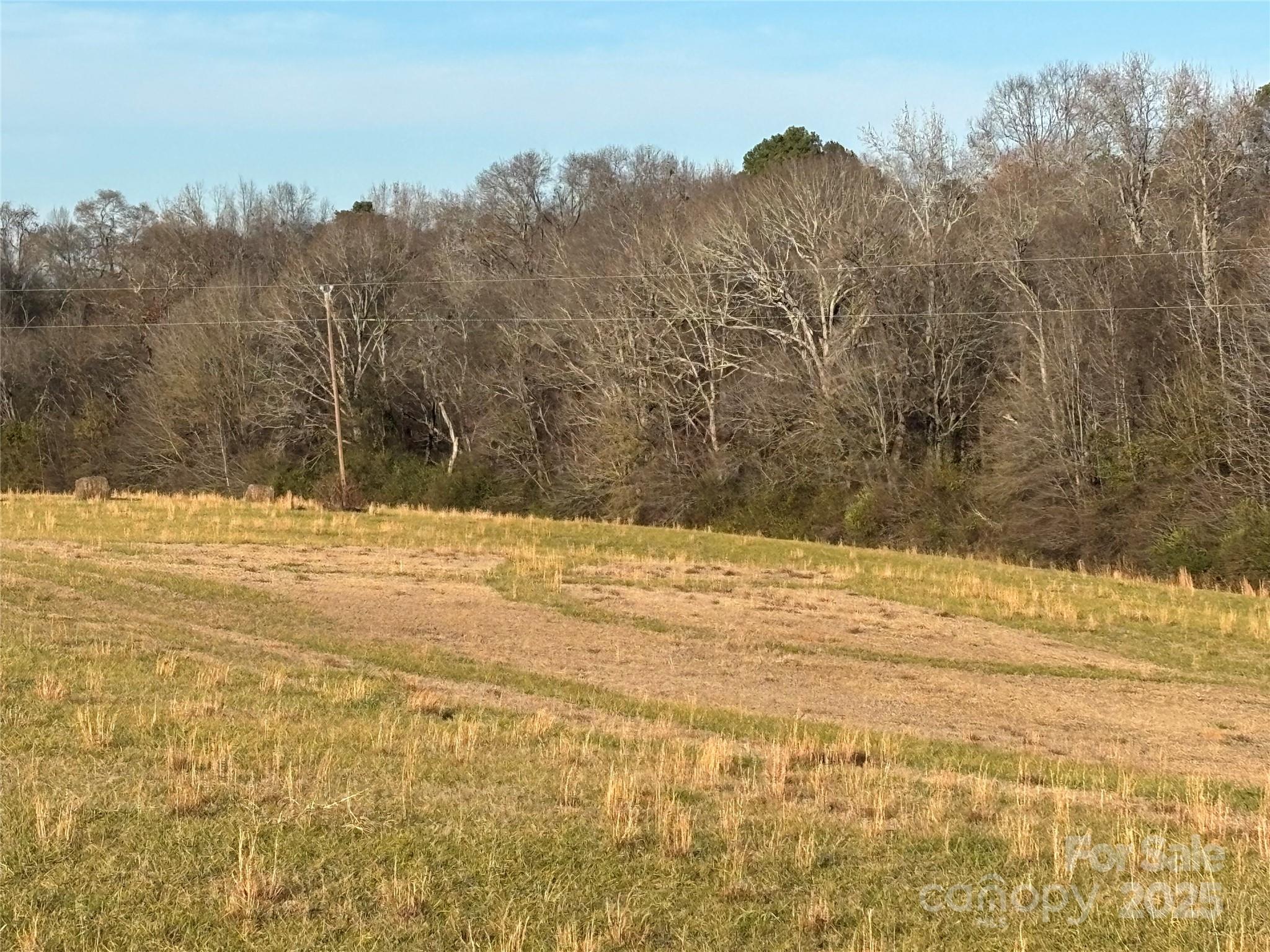 0 Hasty Road Marshville, NC 28103 - Photo 9 of 32
